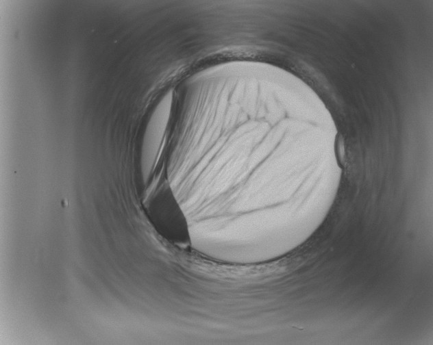 X0000079580023200612301418