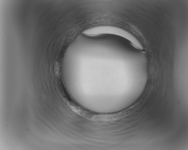 X0000079580025200612301418