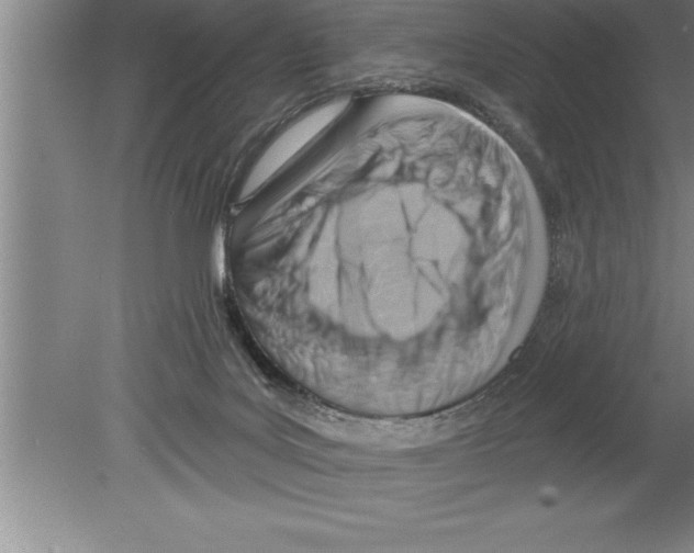 X0000079580027200612301418