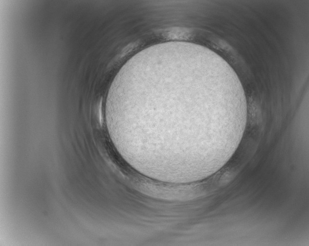 X0000079580028200612301418