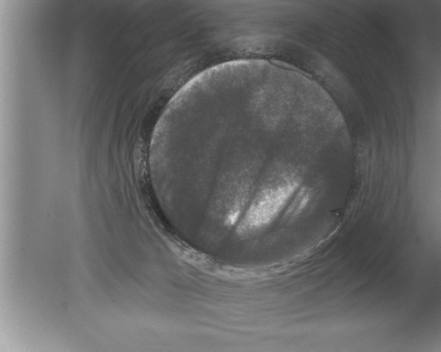 X0000079580029200612301418