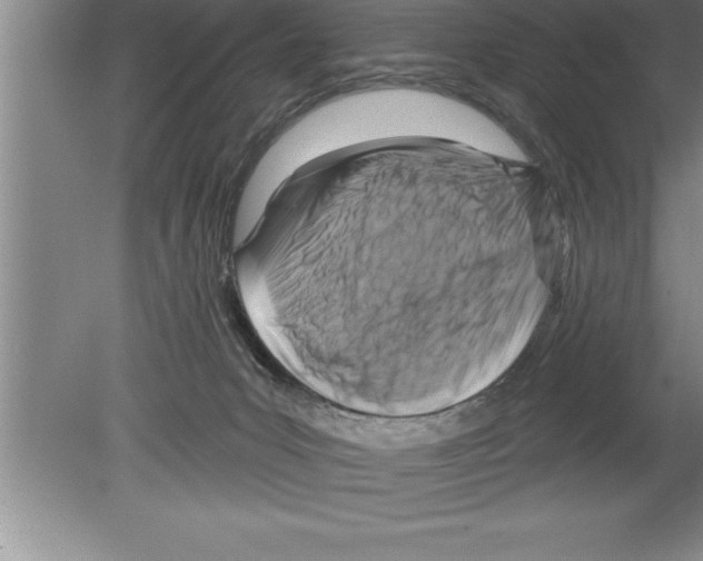 X0000079580031200612301418