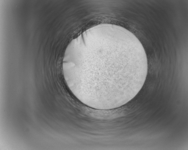 X0000079580034200612301418