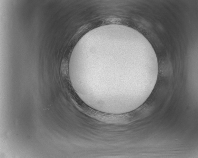 X0000079580036200612301418