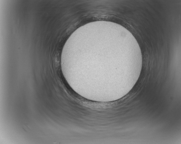 X0000079580040200612301418