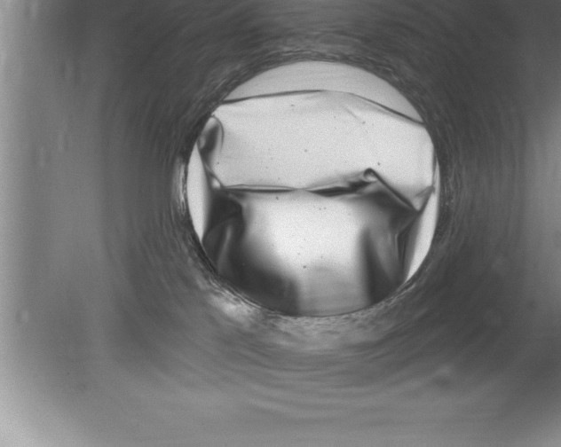 X0000079580041200612301418