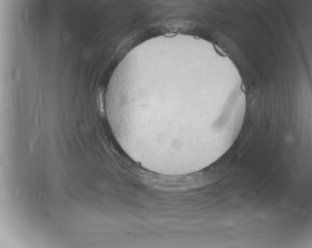 X0000079580042200612301418