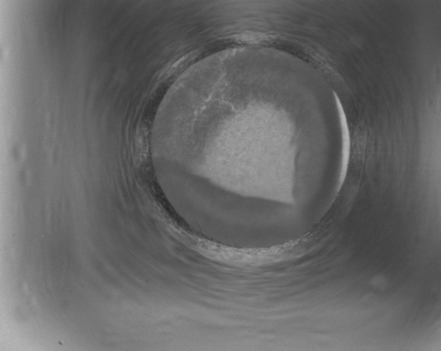 X0000079580043200612301418