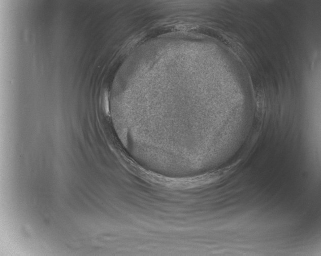 X0000079580046200612301418