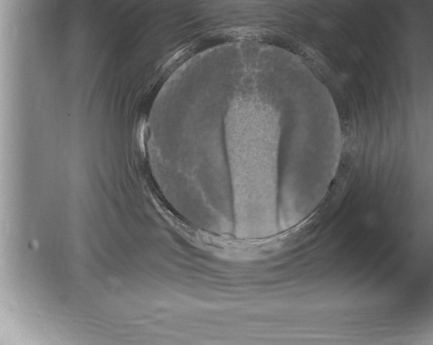 X0000079580047200612301418