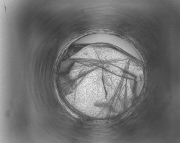 X0000079580049200612301417