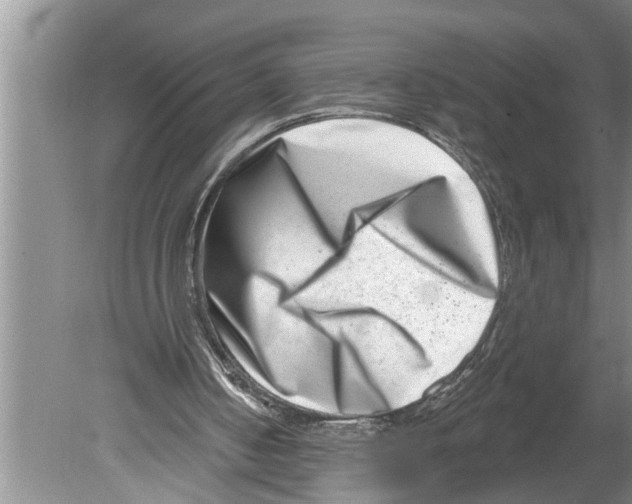 X0000079580050200612301417