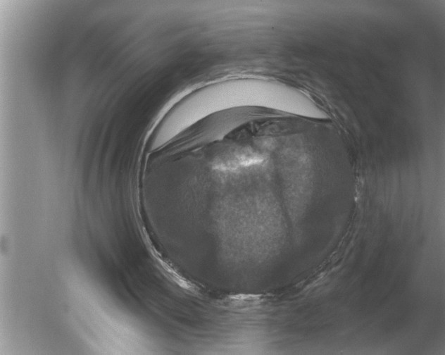 X0000079580052200612301417