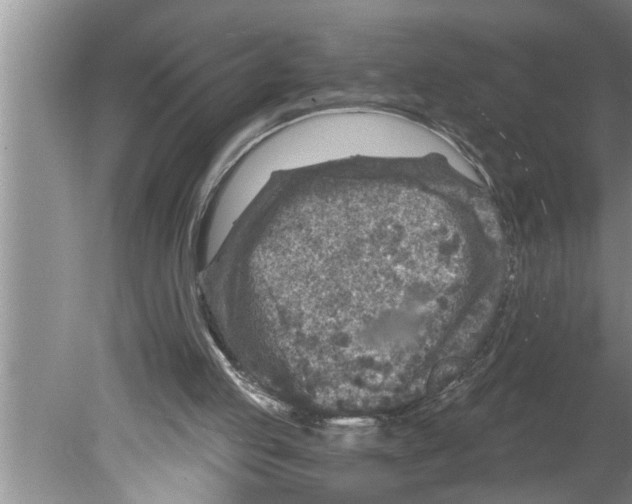 X0000079580053200612301417