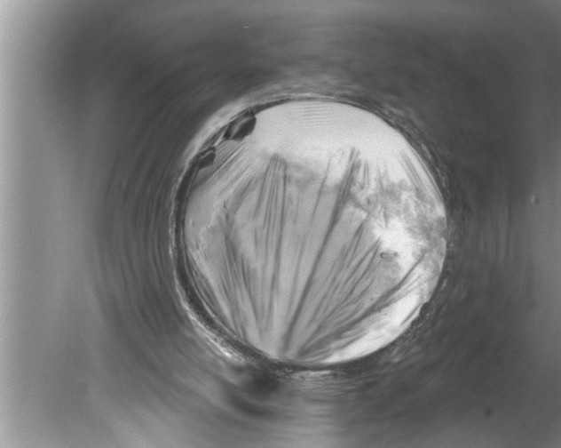 X0000079580054200612301417