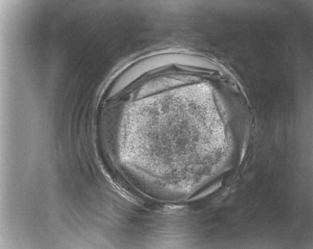 X0000079580055200612301417