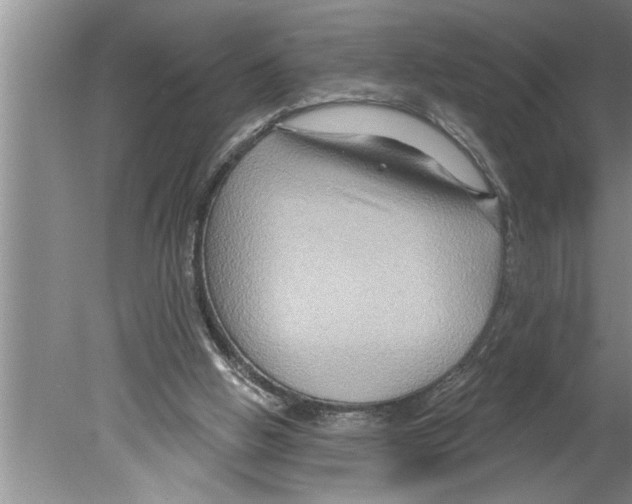 X0000079580058200612301417