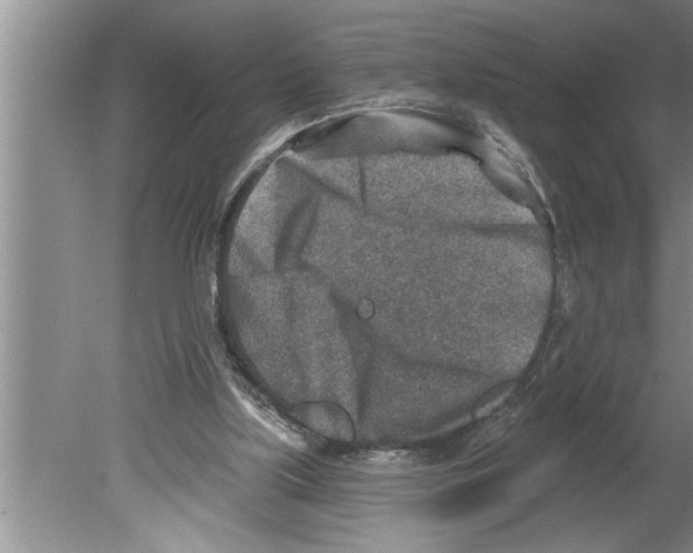 X0000079580059200612301417