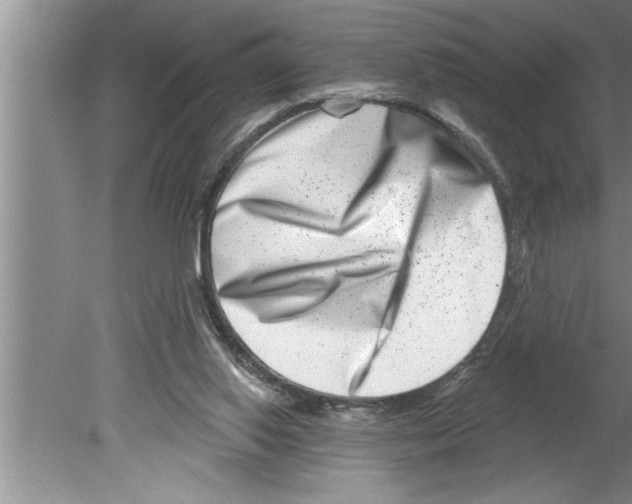 X0000079580062200612301417