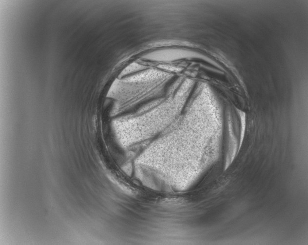 X0000079580063200612301417