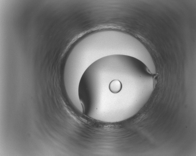 X0000079580064200612301417