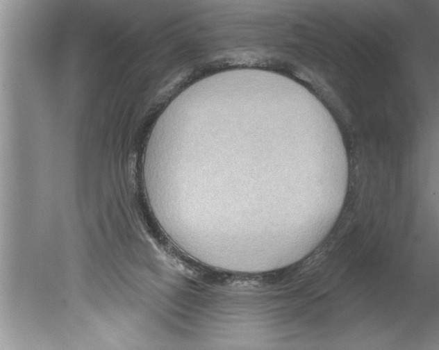 X0000079580066200612301417