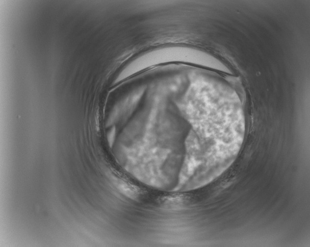 X0000079580068200612301417