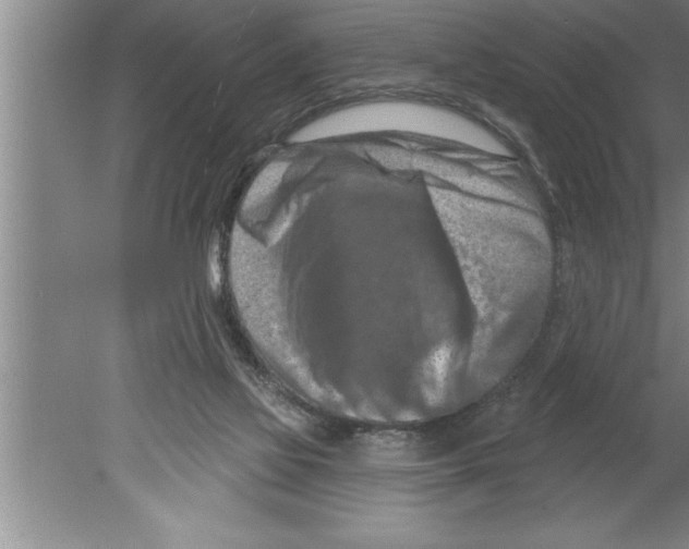 X0000079580069200612301417