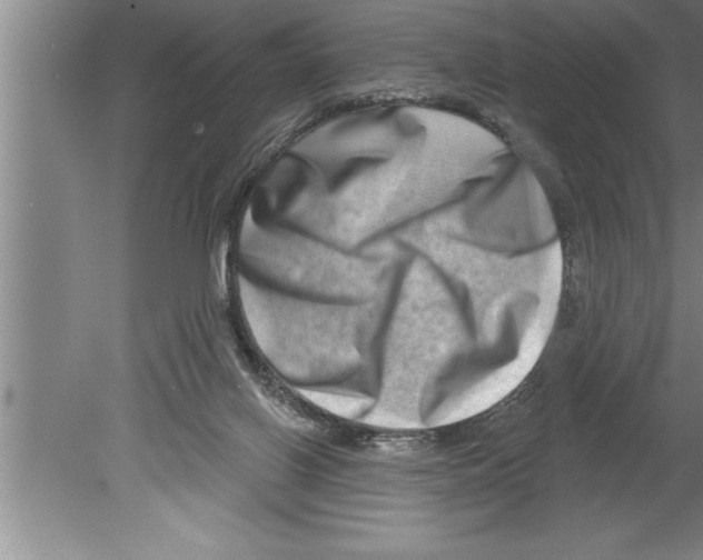 X0000079580070200612301417