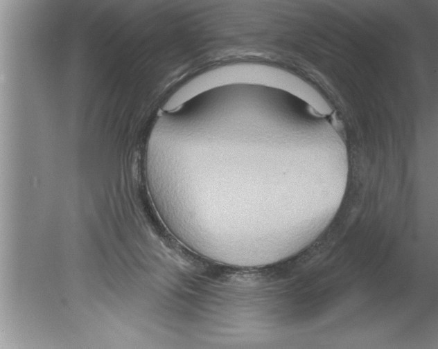 X0000079580071200612301417