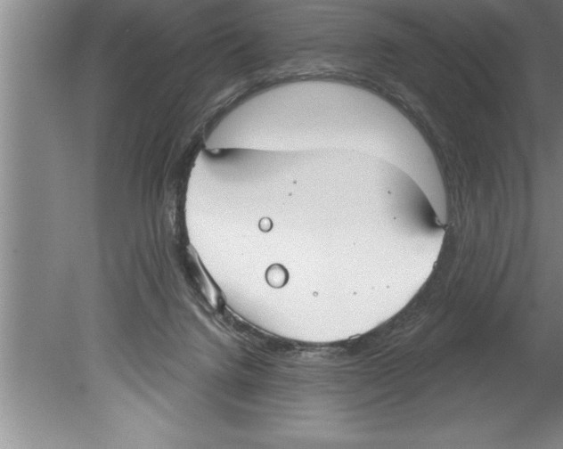 X0000079580072200612301417