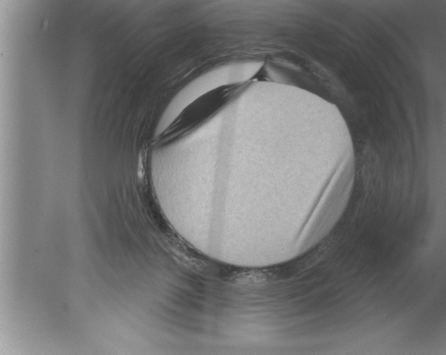 X0000079580075200612301417