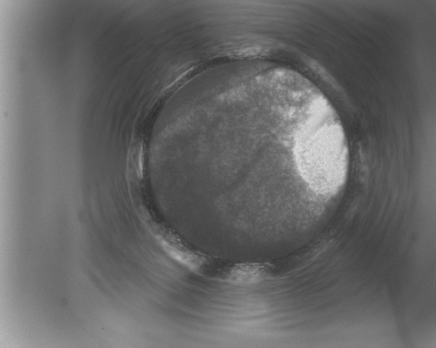 X0000079580076200612301417