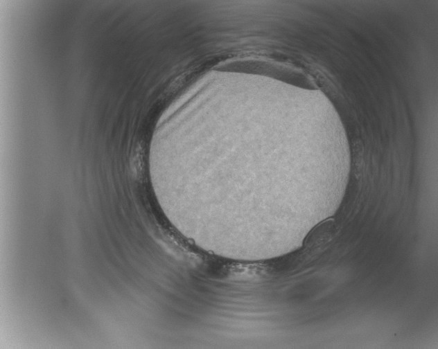 X0000079580077200612301417