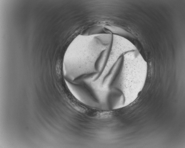 X0000079580078200612301418