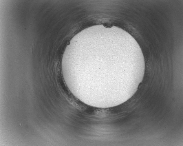 X0000079580079200612301418