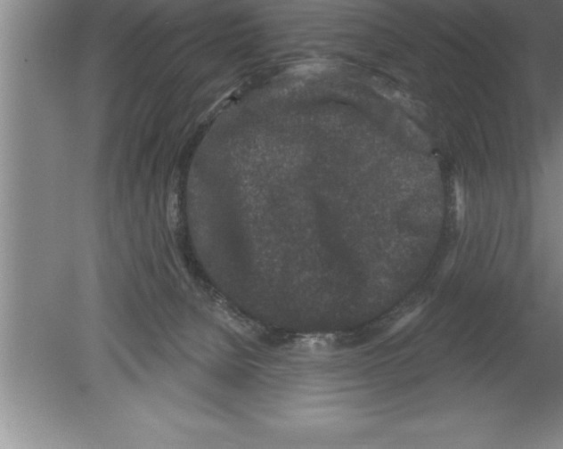 X0000079580080200612301418