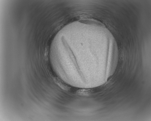 X0000079580082200612301418