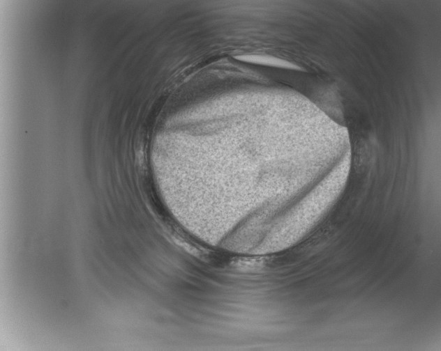 X0000079580084200612301418