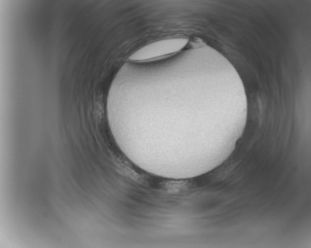 X0000079580085200612301418