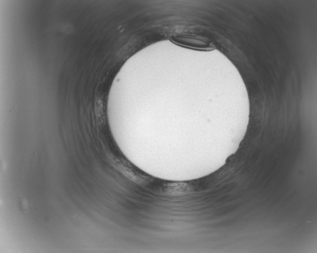 X0000079580087200612301418