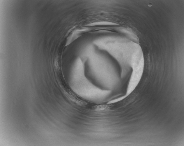 X0000079580088200612301418