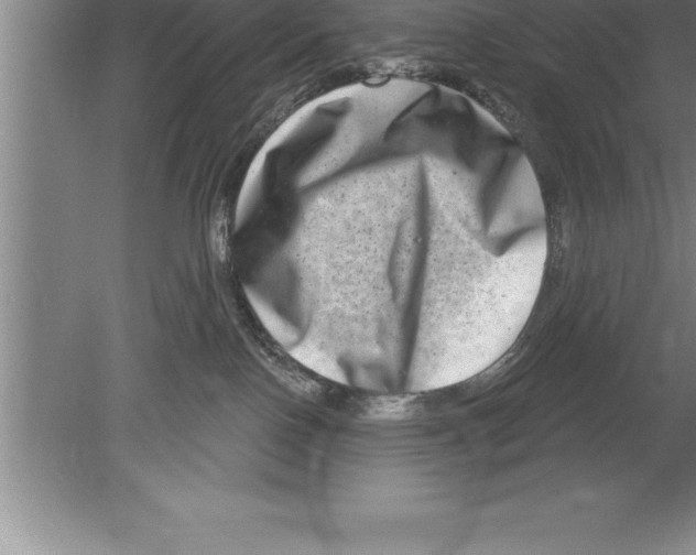 X0000079580090200612301418