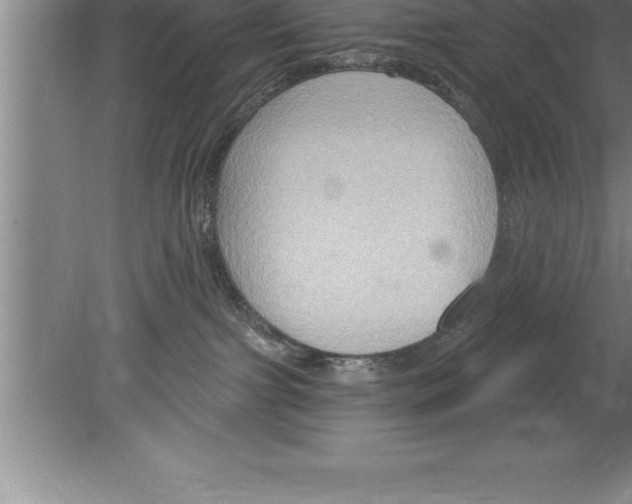 X0000079580091200612301418