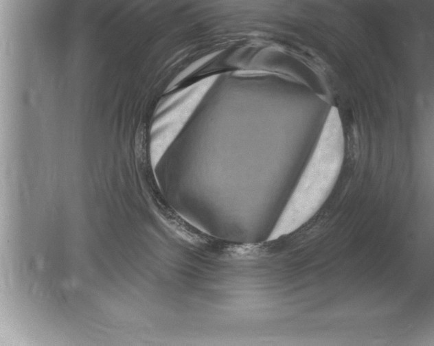 X0000079580092200612301418