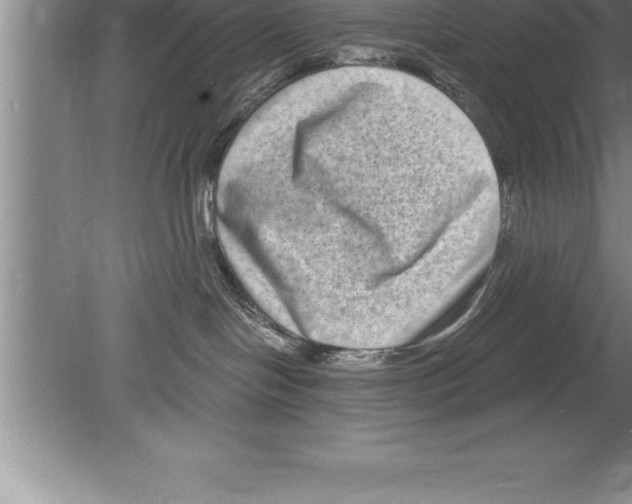 X0000079580094200612301418