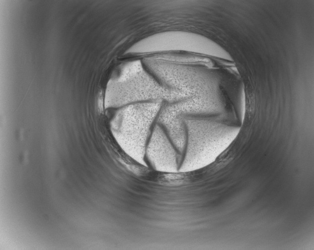 X0000079580095200612301418