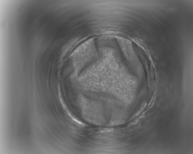 X0000079580097200612301417