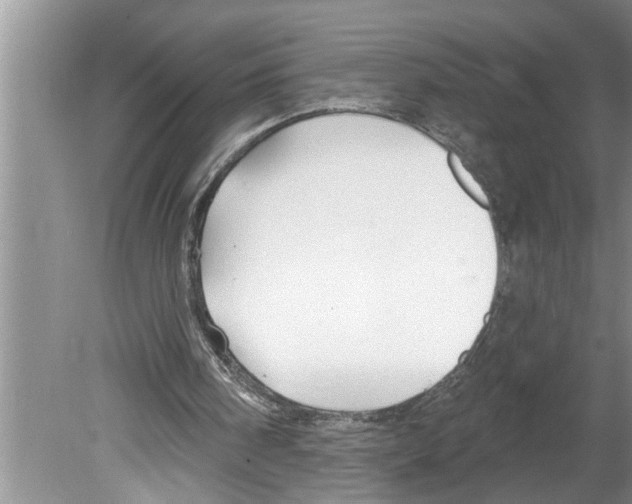 X0000079580098200612301417