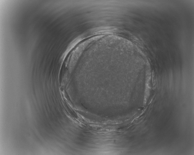 X0000079580099200612301417